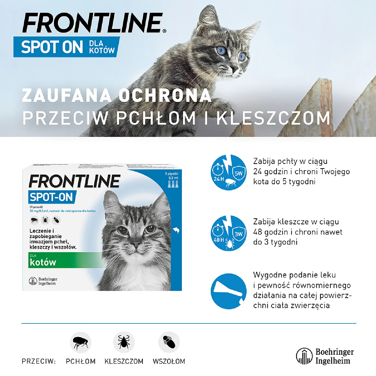 Frontline Spot-on 50 mg/0,5 ml, roztwór do nakrapiania dla kotów, 3 x 0,5 ml