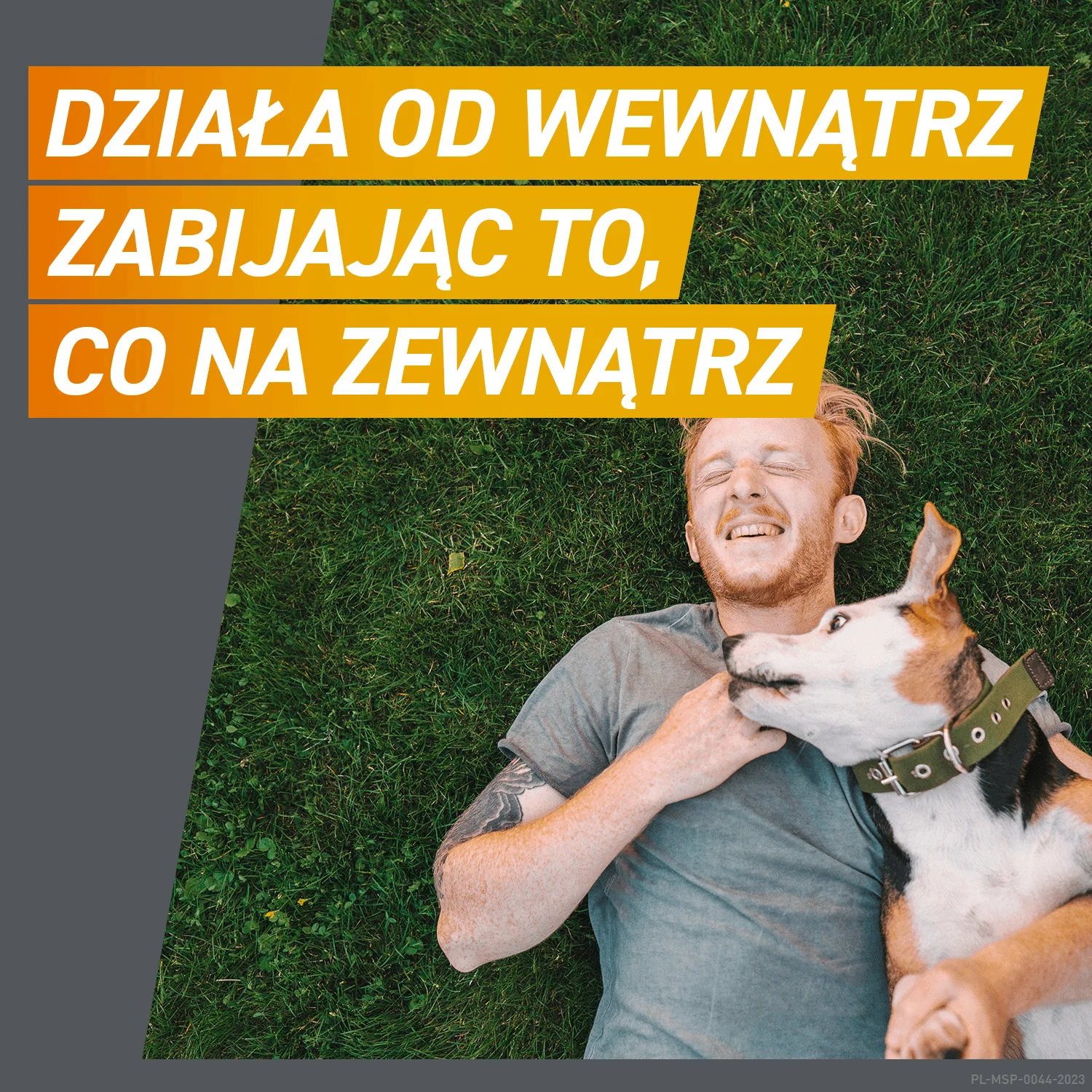 Frontpro 136 mg tabletki do rozgryzania i żucia dla psów (>25,0-50,0 kg), 3 sztuki