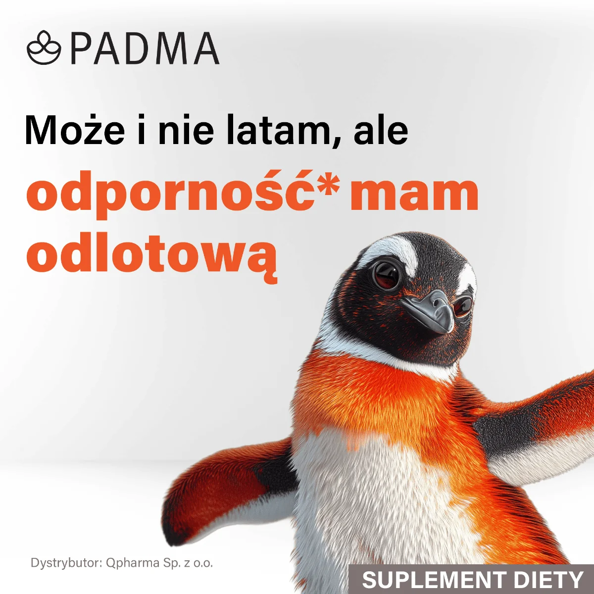 Padma Basic 100 kapsułek