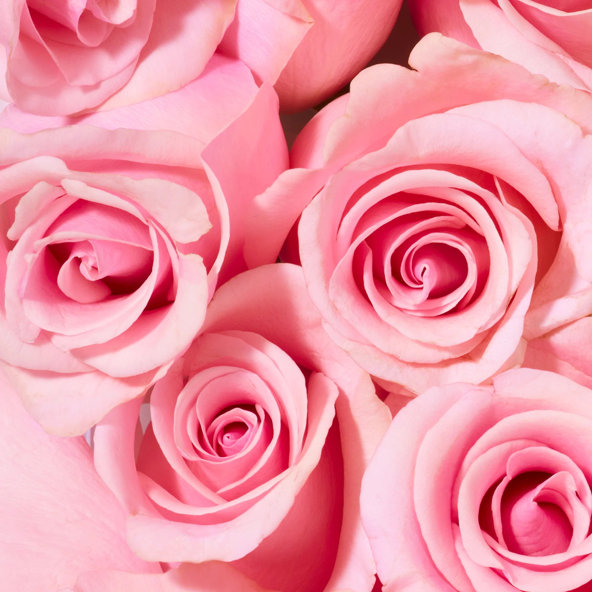 Nuxe Very Rose różany żel pod prysznic, 750 ml