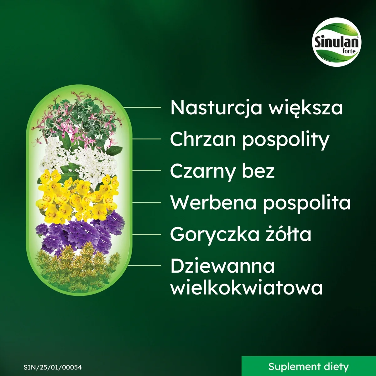 Sinulan Duo Forte suplement diety, 60 tabletek powlekanych