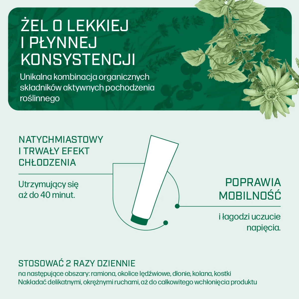 Iana Stawy intensywnie chłodzący żel, 100 ml