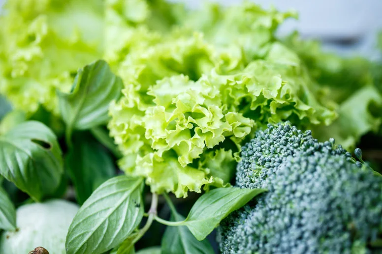 foliany foliany