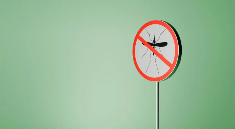 Denga u nastolatków w Krakowie. Lekarze apelują do turystów wracających z ferii