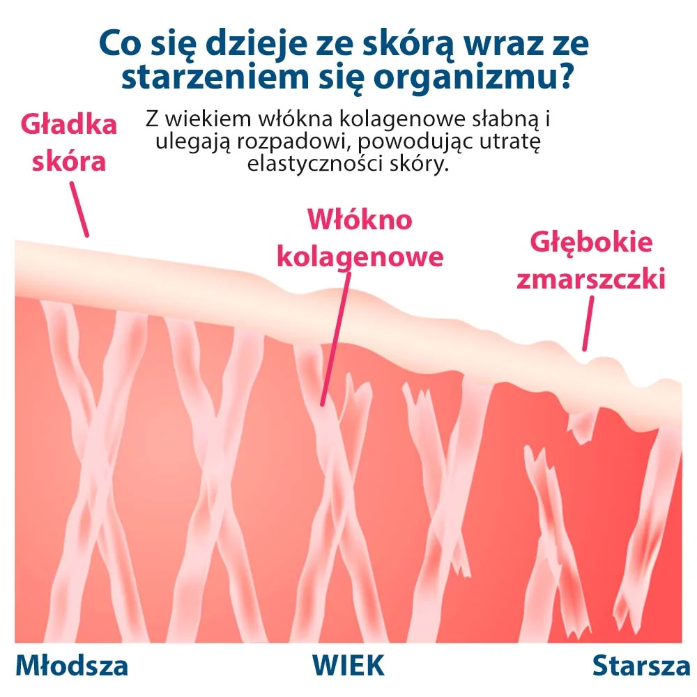Collagen Drink Dr. Max, suplement diety, 30 saszetek