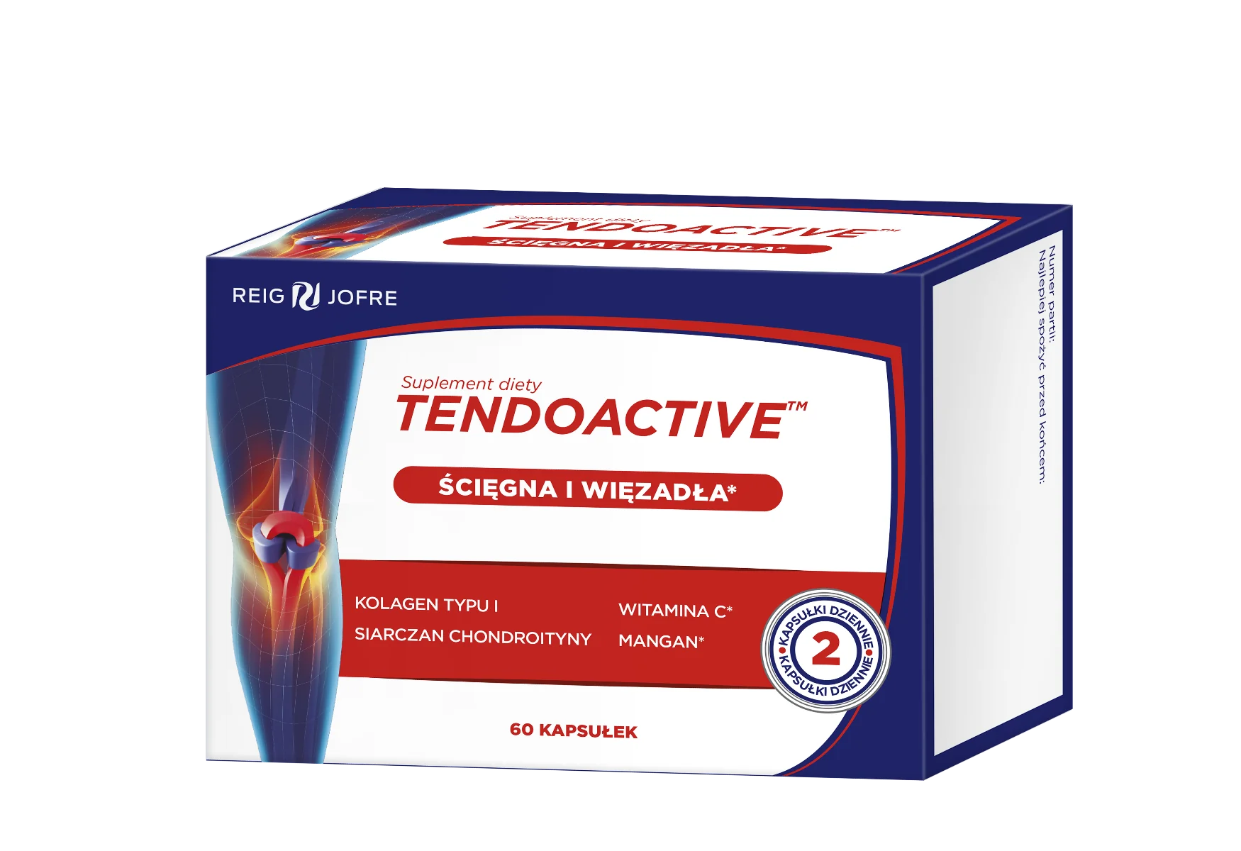 Tendoactive suplement diety, 60 kapsułek
