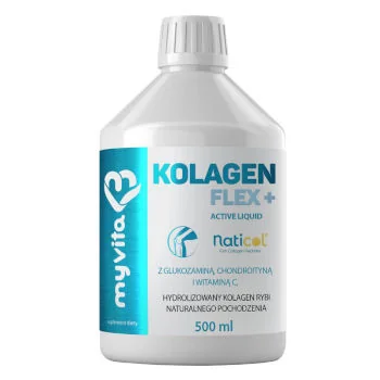 MyVita Silver Kolagen Flex+ Active Liquid płyn MyVita Silver Kolagen Flex+ Active Liquid płyn
