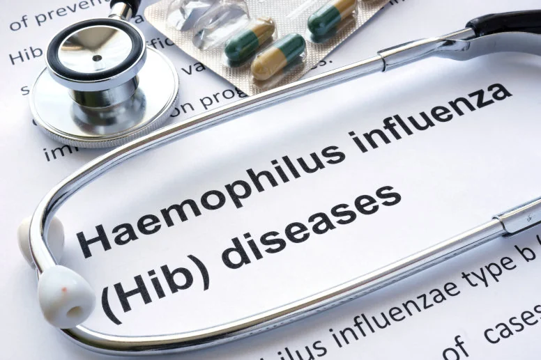 Czym jest bakteria Haemophilus influenzae i jak leczyć zakażenie Hib?