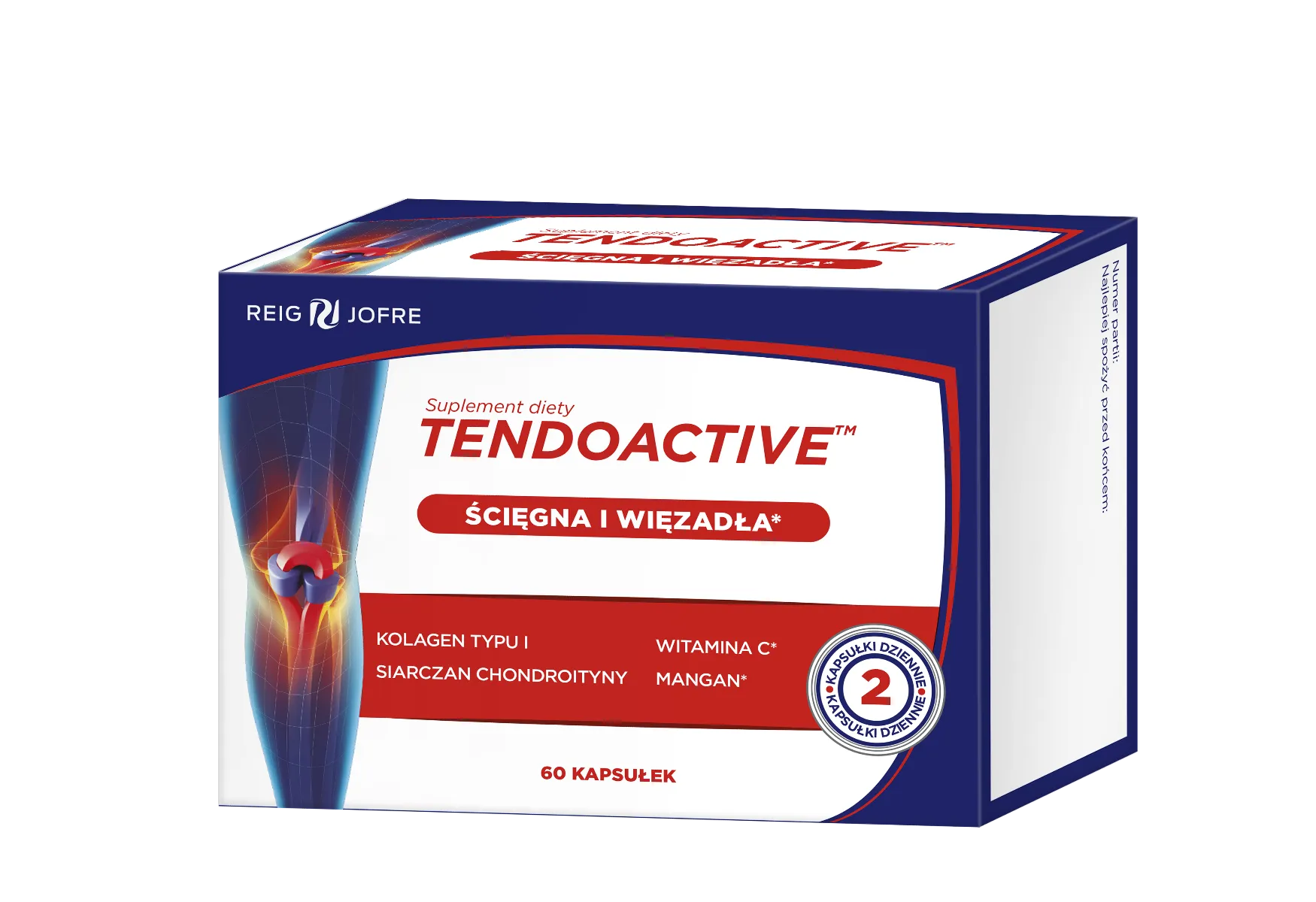 Tendoactive suplement diety, 60 kapsułek