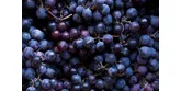 Winogrona − właściwości odżywcze i ich rola w diecie