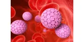 Kłykciny kończyste. Co warto wiedzieć o brodawkach wywołanych HPV?