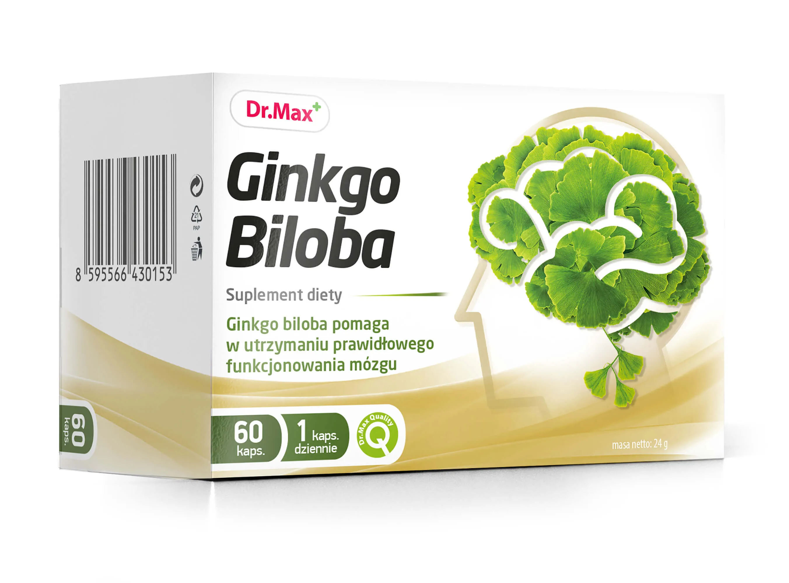Ginkgo Biloba Dr.Max, suplement diety, 60 kapsułek