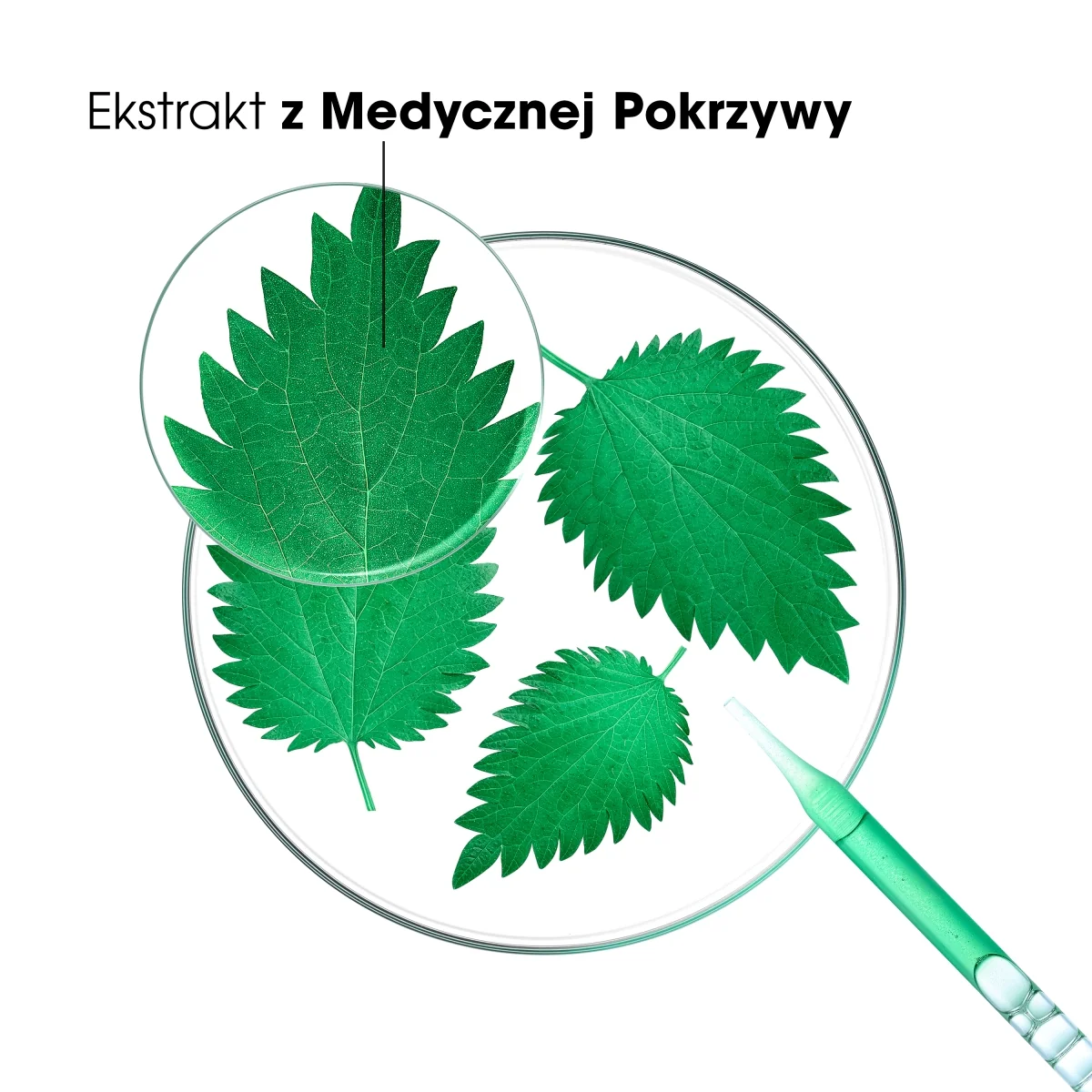 Klorane szampon oczyszczający i przywracający równowagę z pokrzywą, 400 ml