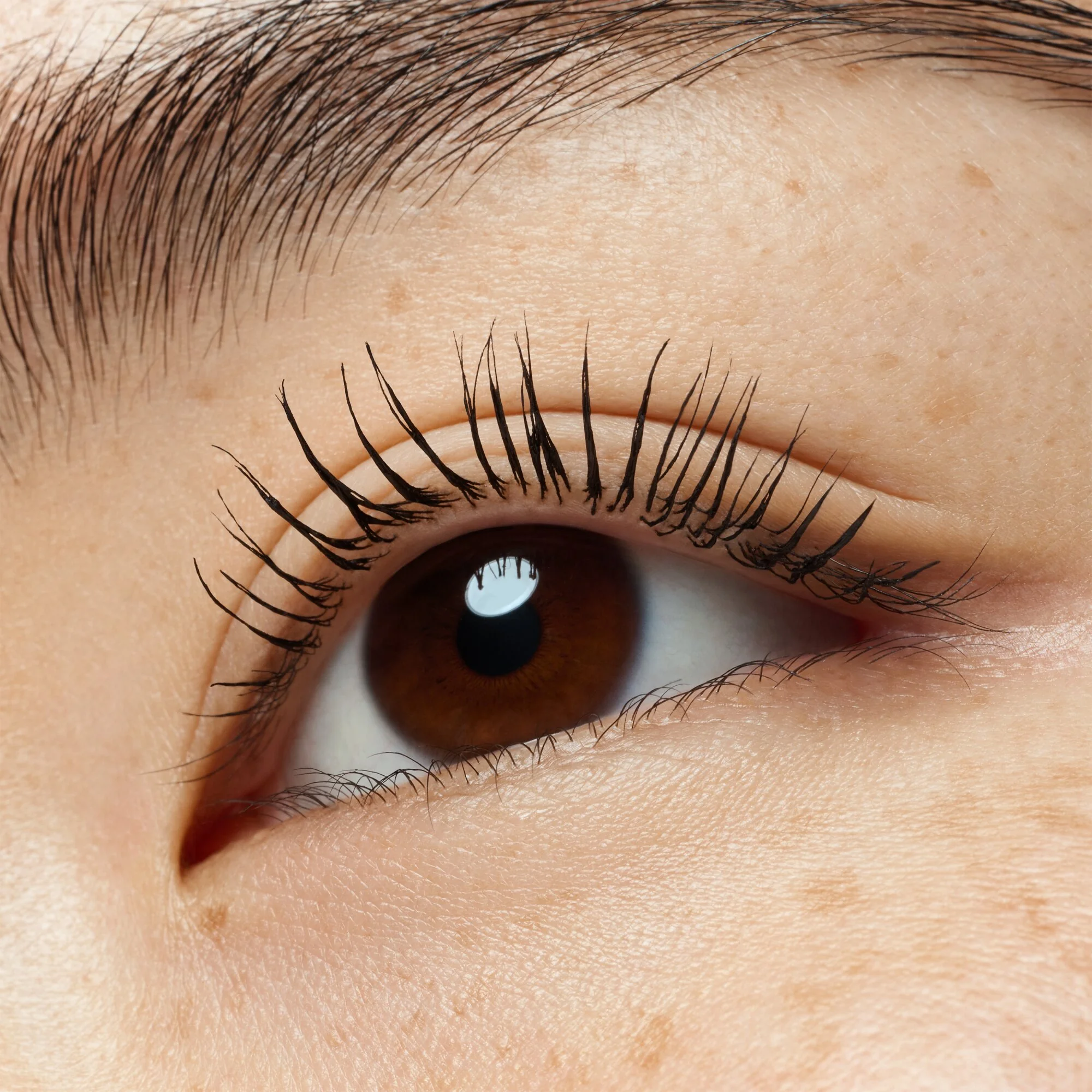 Essence Lash Without Limits Waterproof eksremalnie wydłużająca i dodająca objętości maskara do rzęs 03, 13 ml