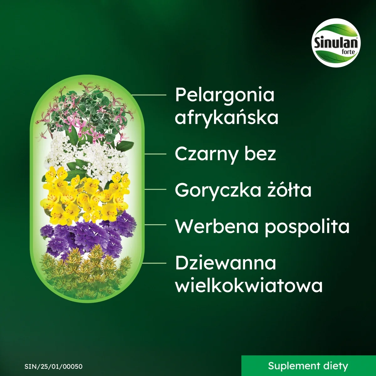 Sinulan forte suplement diety, 60 tabletek