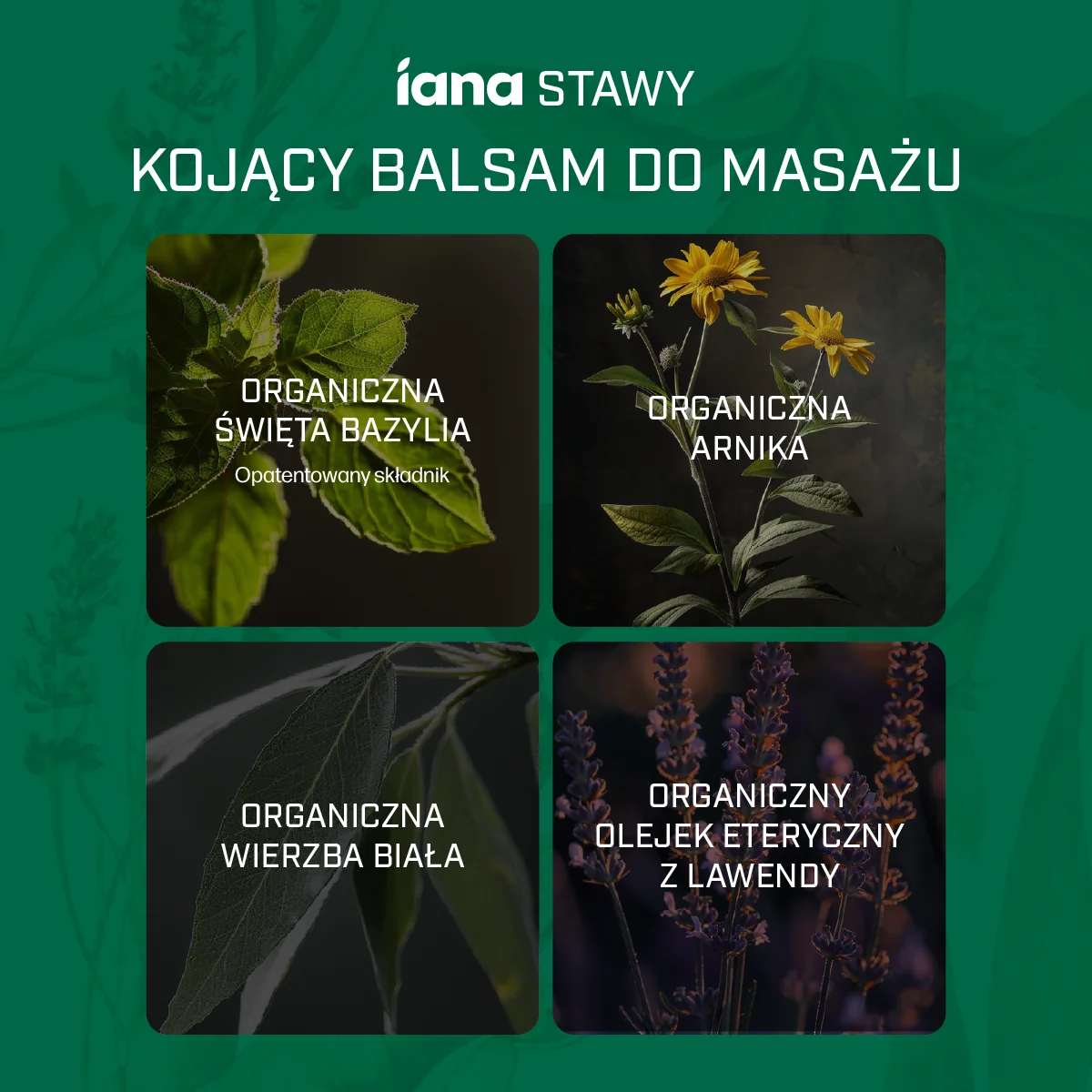 Iana Stawy kojący balsam do masażu, 100 ml