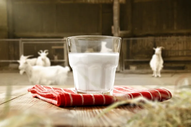 leche de cabra para bebes