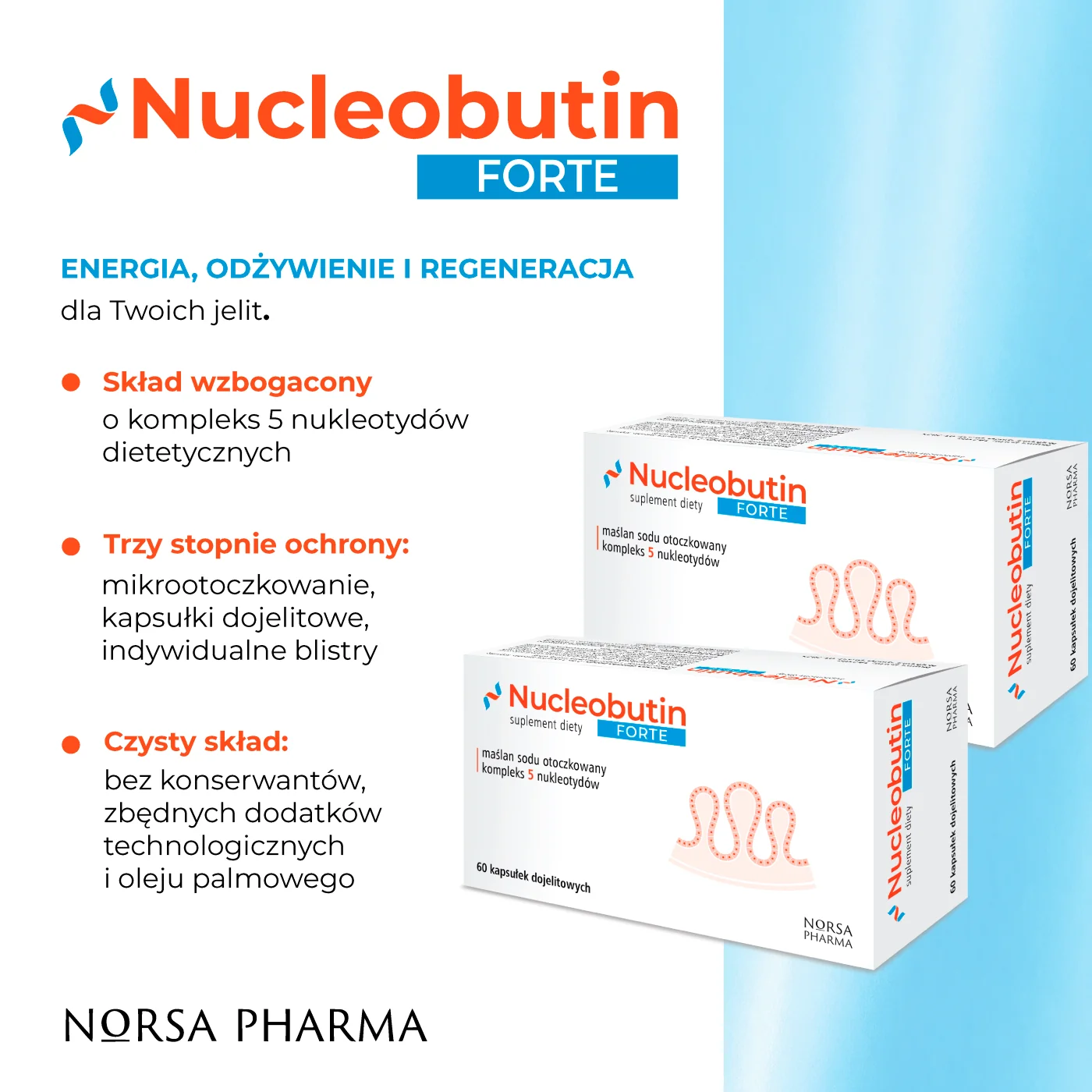 Norsa Pharma Nucleobutin Forte 60 kapsułek