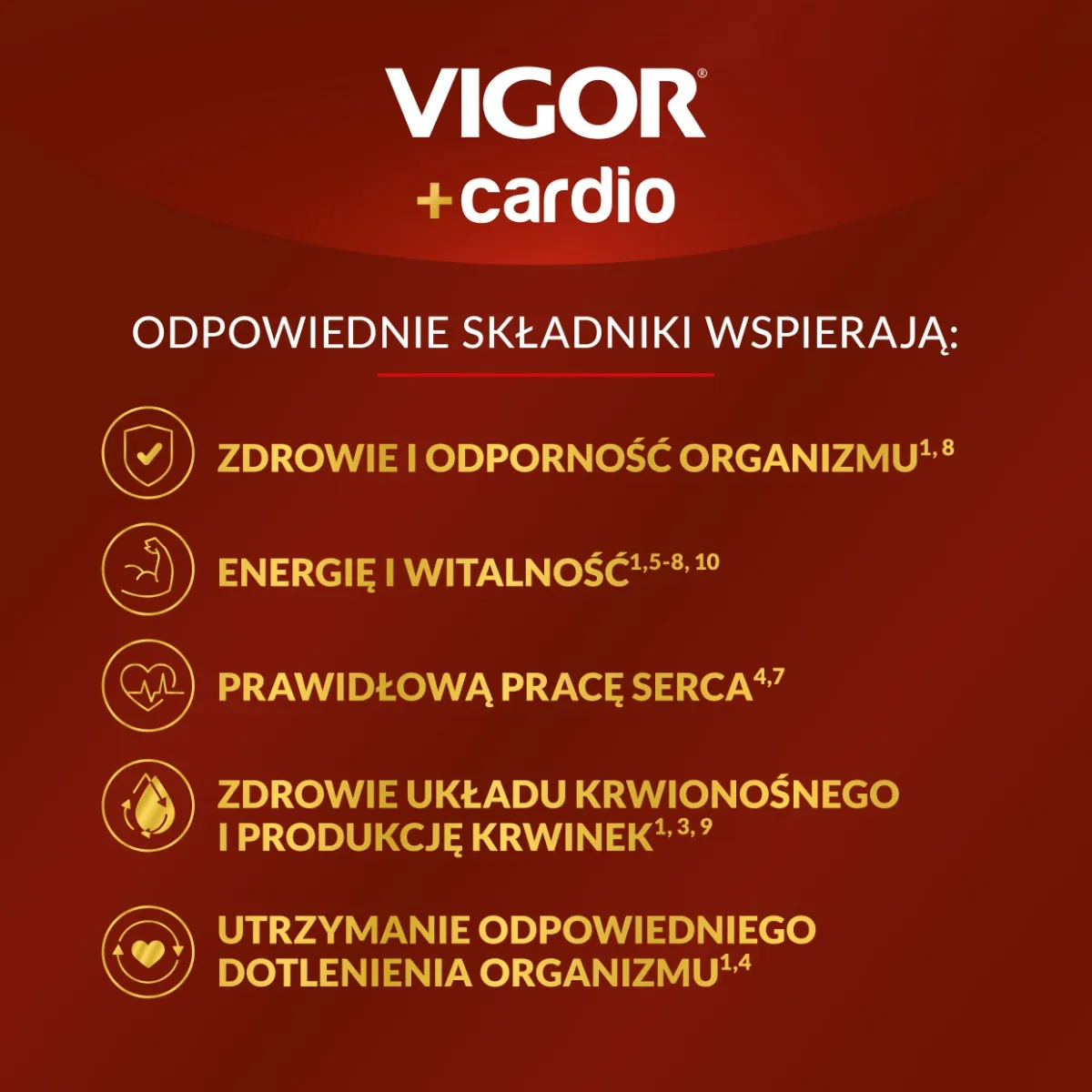 Vigor+ Cardio, suplement diety, 1000 ml 