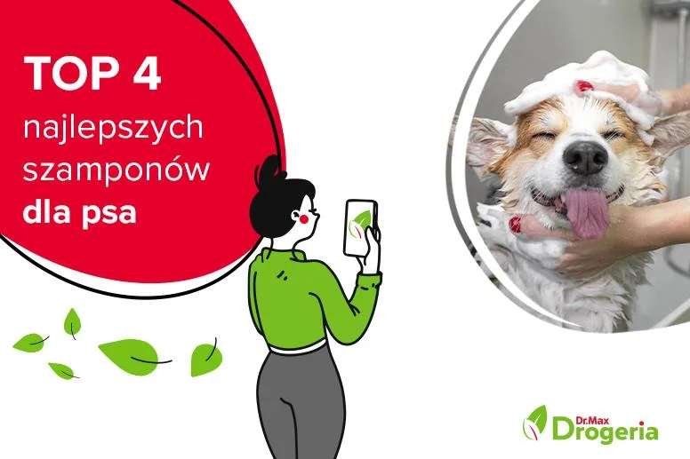 Szampon dla psa – ranking produktów