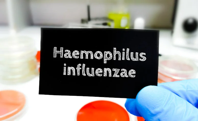 Szczepionka Hib – co warto wiedzieć przed szczepieniem przeciwko Haemophilus influenzae?