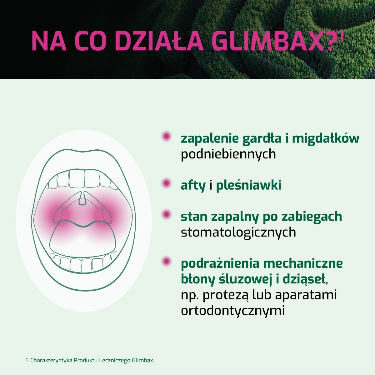 Glimbax 0,74 mg/ml (0,074%), roztwór