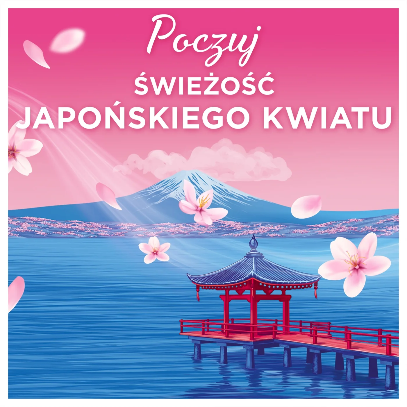 Lenor Japanese Blossom płyn do płukania tkanin, 59 prań, 1,239 l