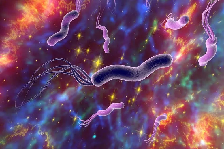 Prawdopodobnie masz tę bakterię! Helicobacter pylori – skąd się bierze?