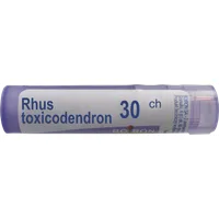 Boiron Rhus Toxicodendron 30 CH, granulki, 4 g