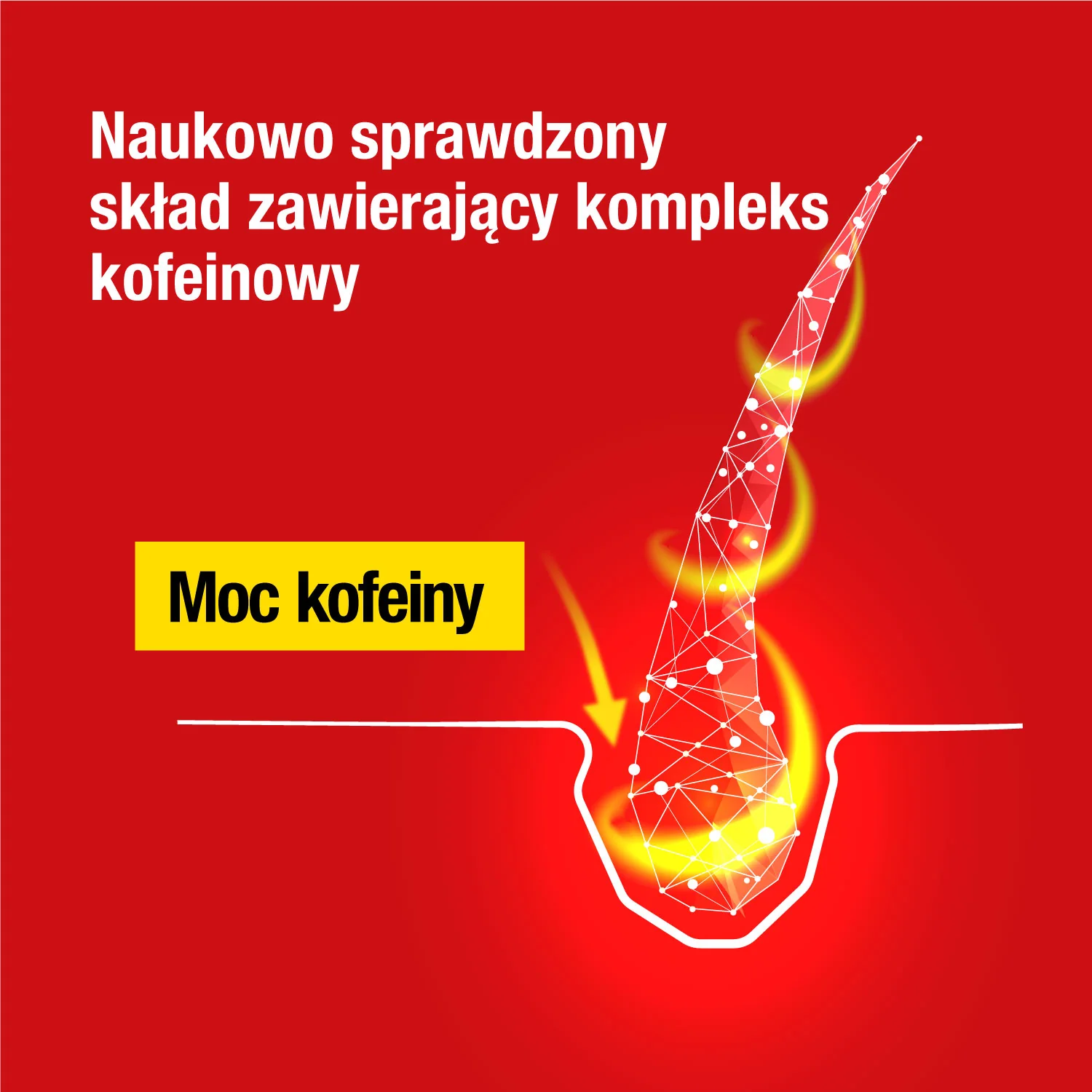 ALPECIN CAFFEINE LIQUID płyn wzmacniający cebulki włosów, 200 ml