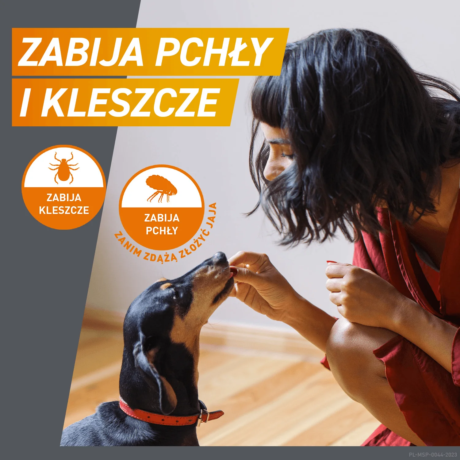 Frontpro 136 mg tabletki do rozgryzania i żucia dla psów (>25,0-50,0 kg), 3 sztuki