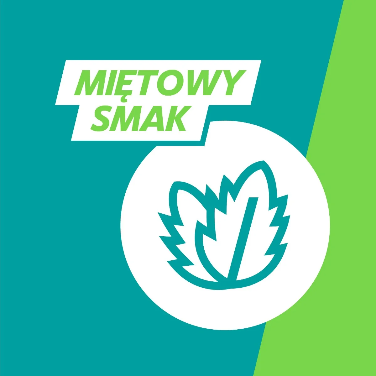 Gaviscon zawiesina doustna o smaku mięty, 150 ml