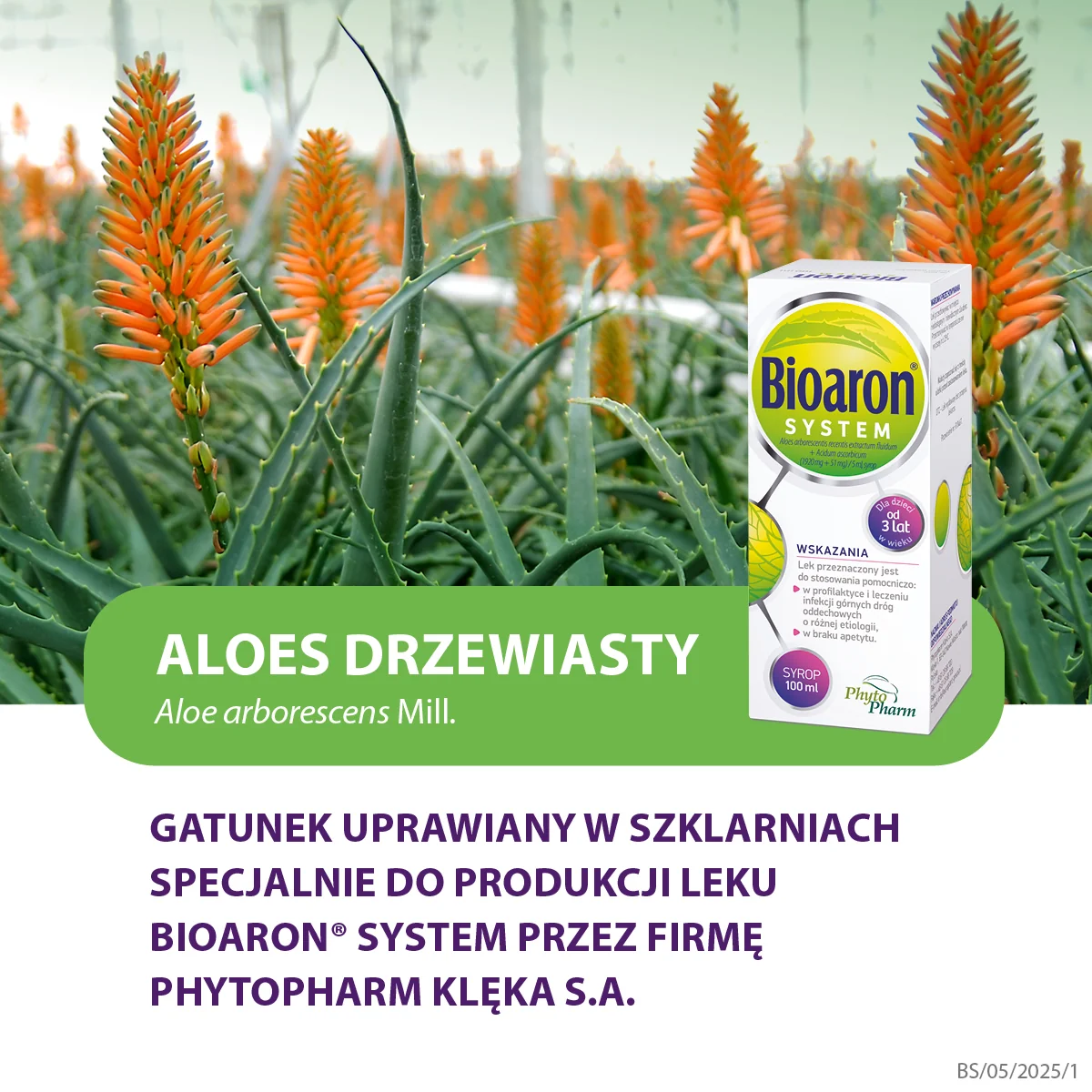Bioaron System syrop, 100 ml