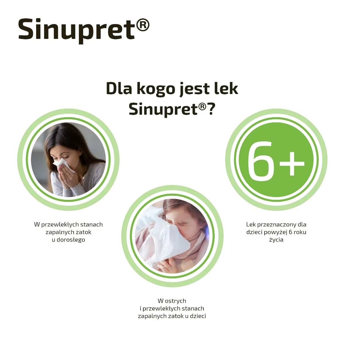Sinupret 50 tabletek drażowanych