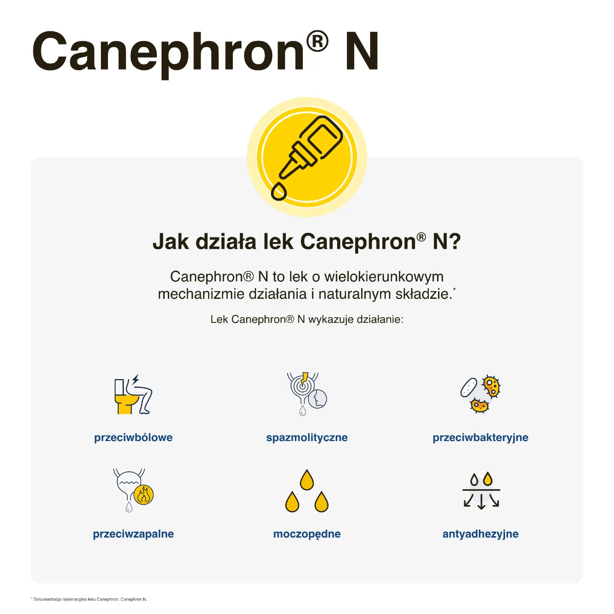 Canephron N krople doustne, 100 ml