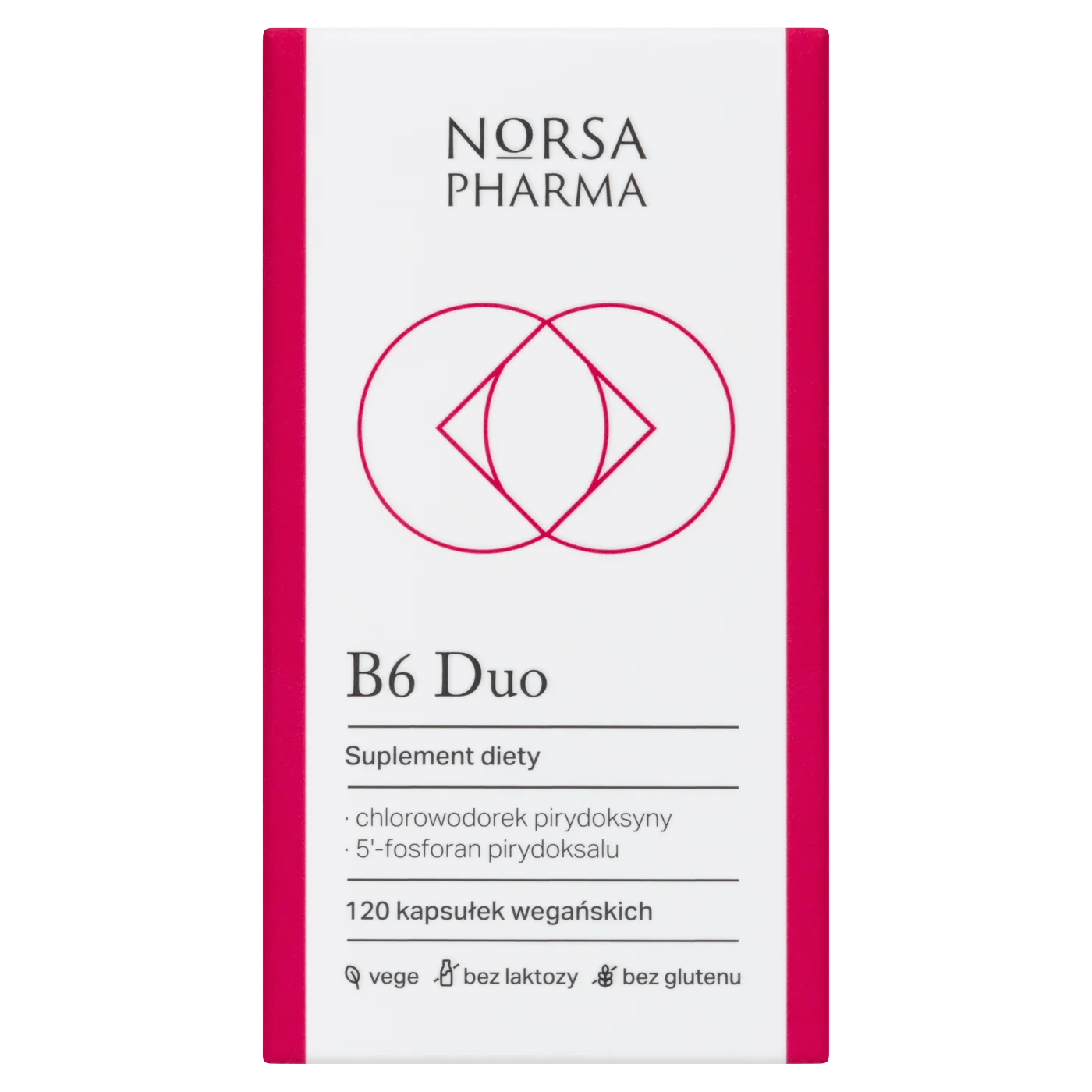Norsa Pharma B6 Duo 120 kapsułek