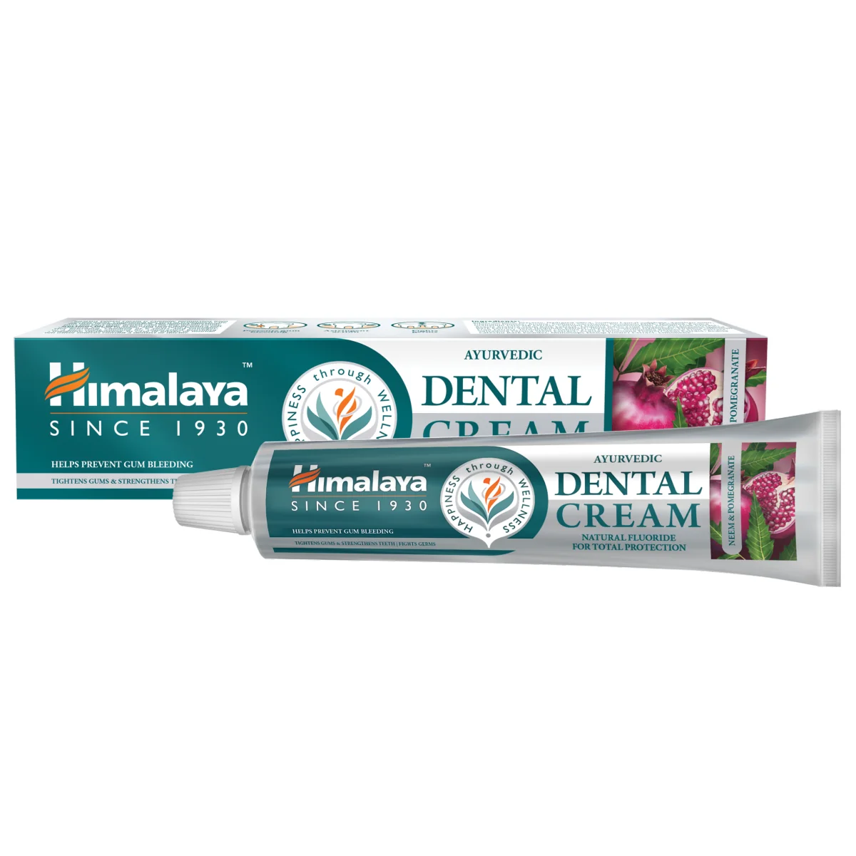 Himalaya Dental Cream ajurwedyjska pasta do zębów z neem i granatem, 100g