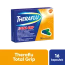 Theraflu Total Grip, 500 mg + 6,1 mg + 100 mg, 16 kapsułek