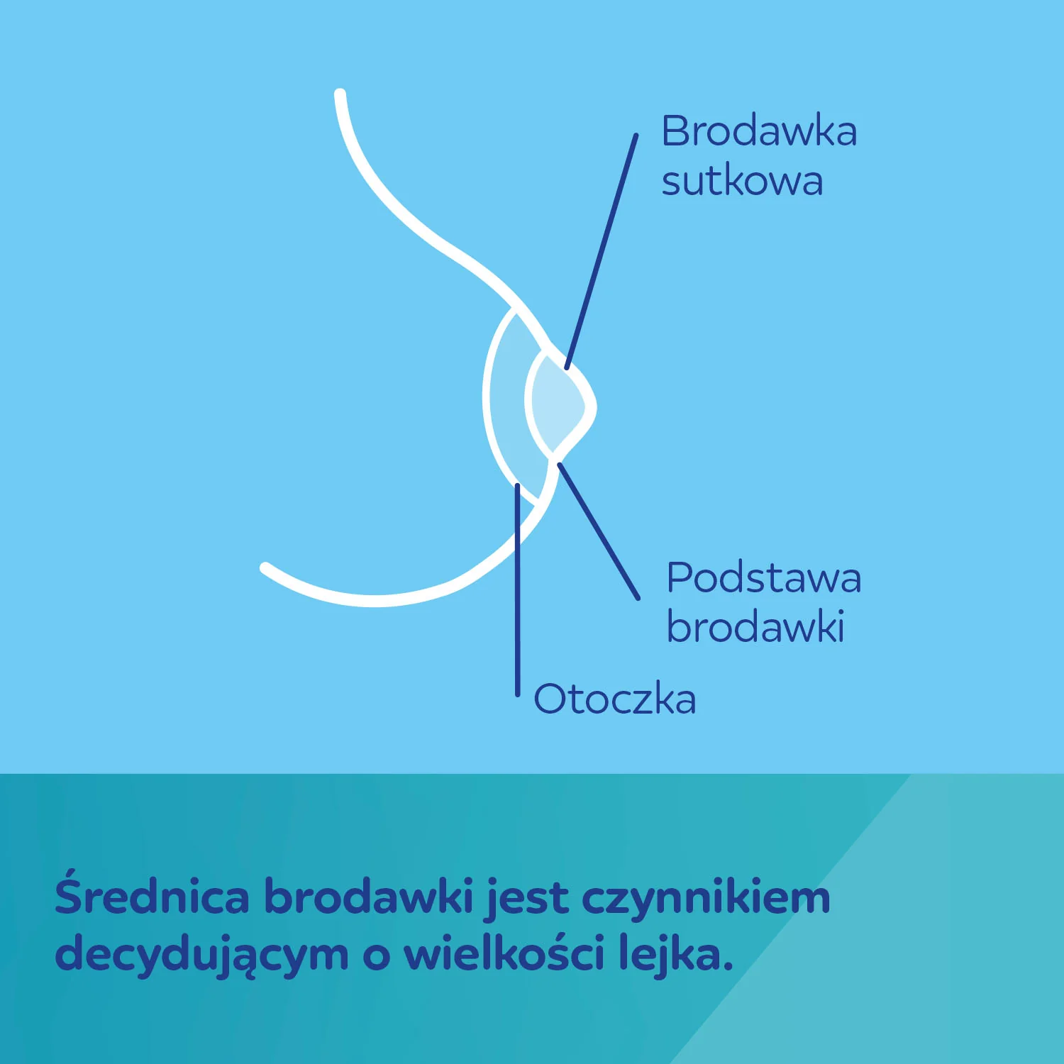 Canpol Babies lejek do laktatorów z elastycznym brzegiem 27mm 1 sztuka