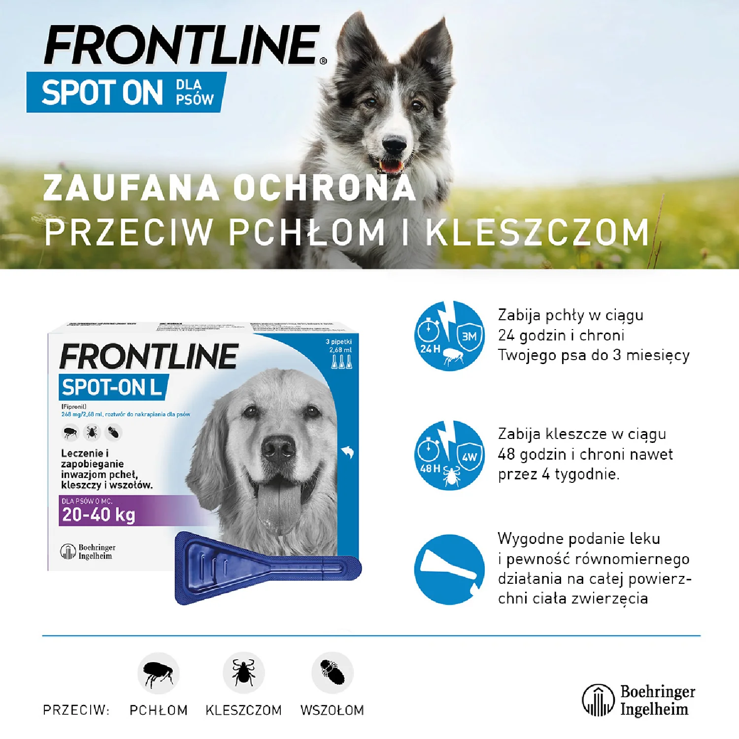 Frontline Spot-on L 268 mg/2,68 ml, roztwór do nakrapiania dla psów 20-40 kg, 3 x 2,68 ml