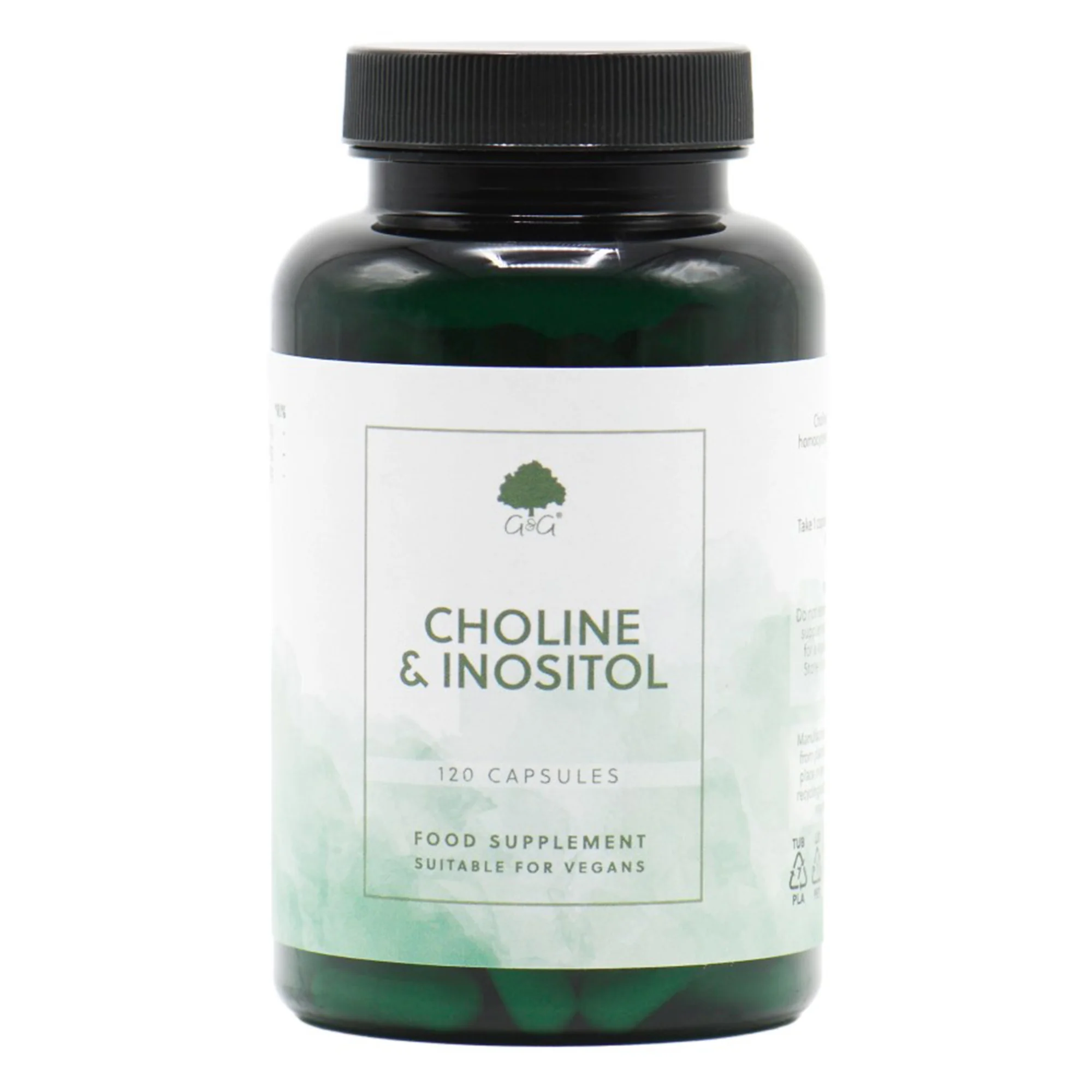 G&G Cholina i Inozytol 120 kapsułek