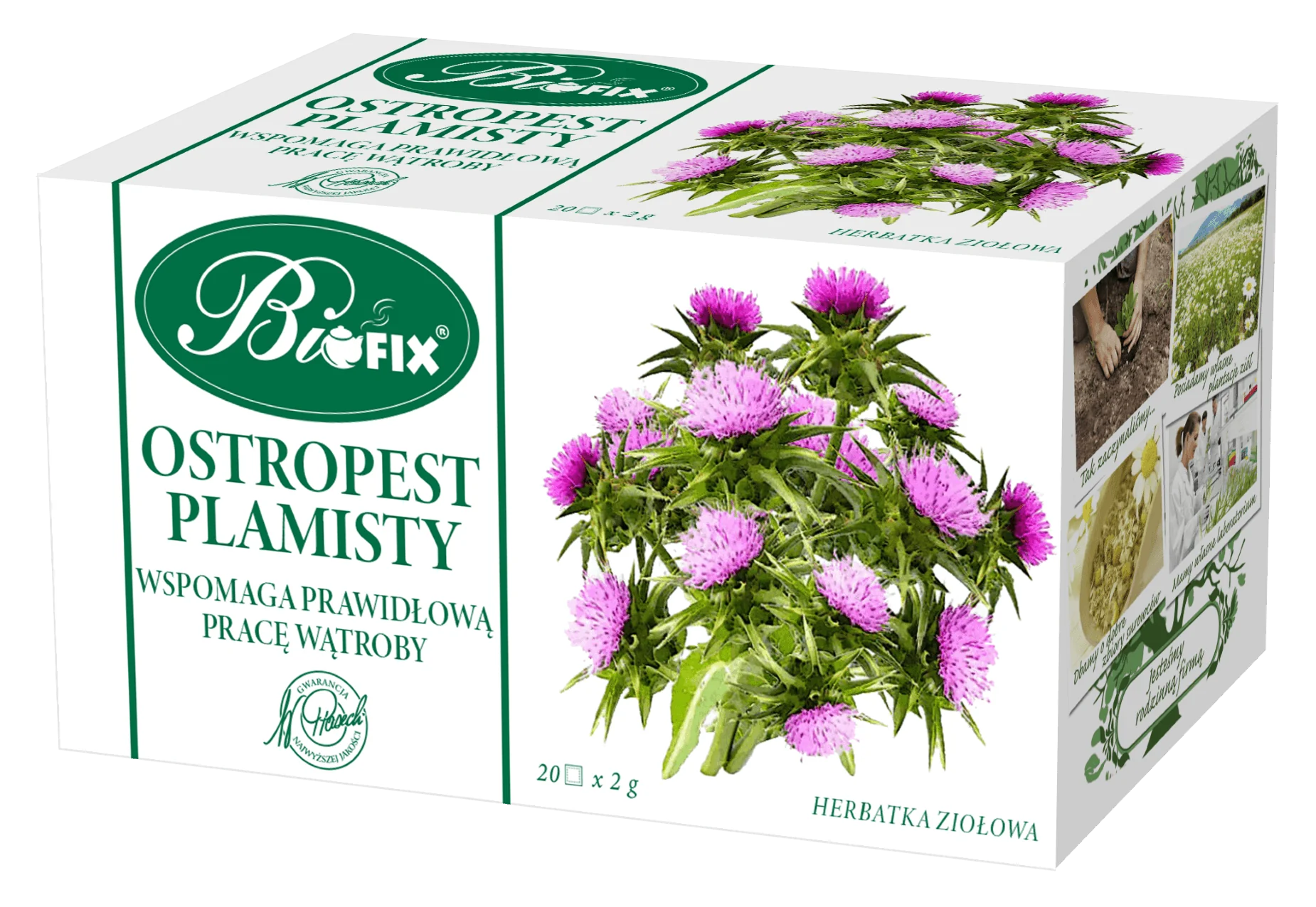 BiFIX Ostropest Plamisty herbatka ziołowa ekspresowa, 20 x 2 g