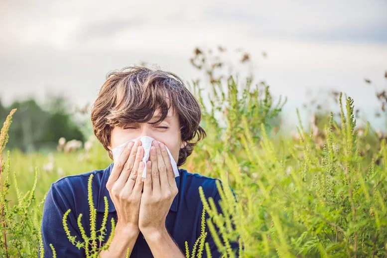 Unikaj kontaktu z alergenami jeśli jesteś astmatykiem