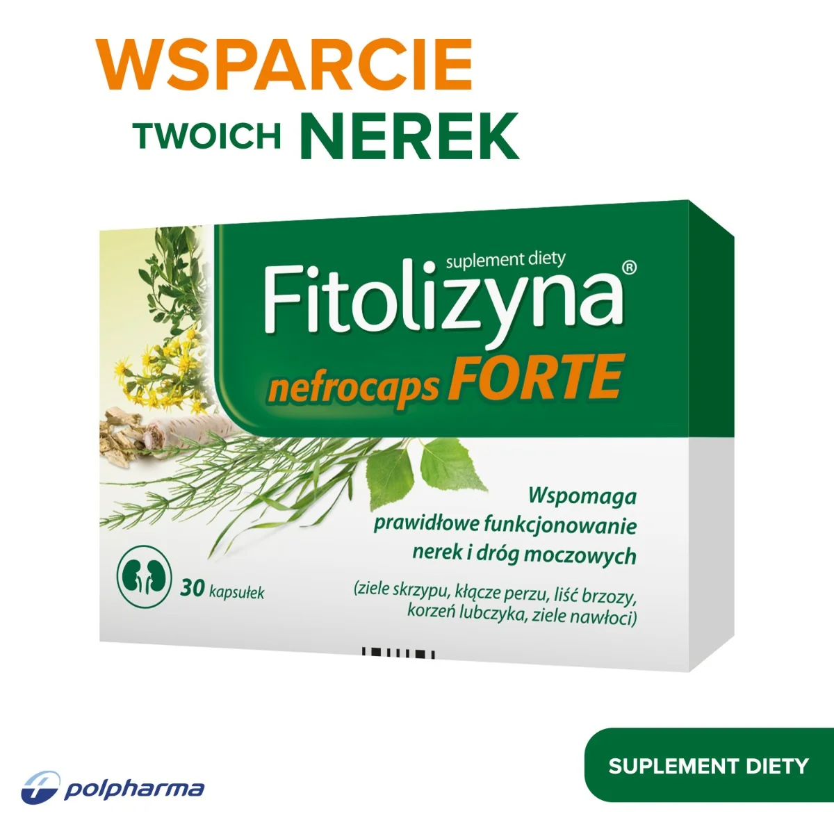 Fitolizyna nefrocaps FORTE 30 kapsułek