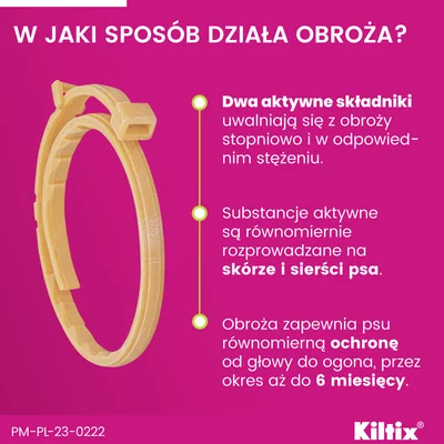 Kiltix 1,25 g + 0,28 g, obroża dla małych psów < 10 kg, 1 sztuka