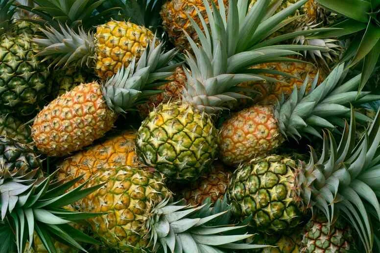 Ananas działanie Ananas działanie