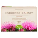 Ostropest Plamisty - suplement diety wspierający prawidłową pracę wątroby oraz jej regenerację, 30 kaps.