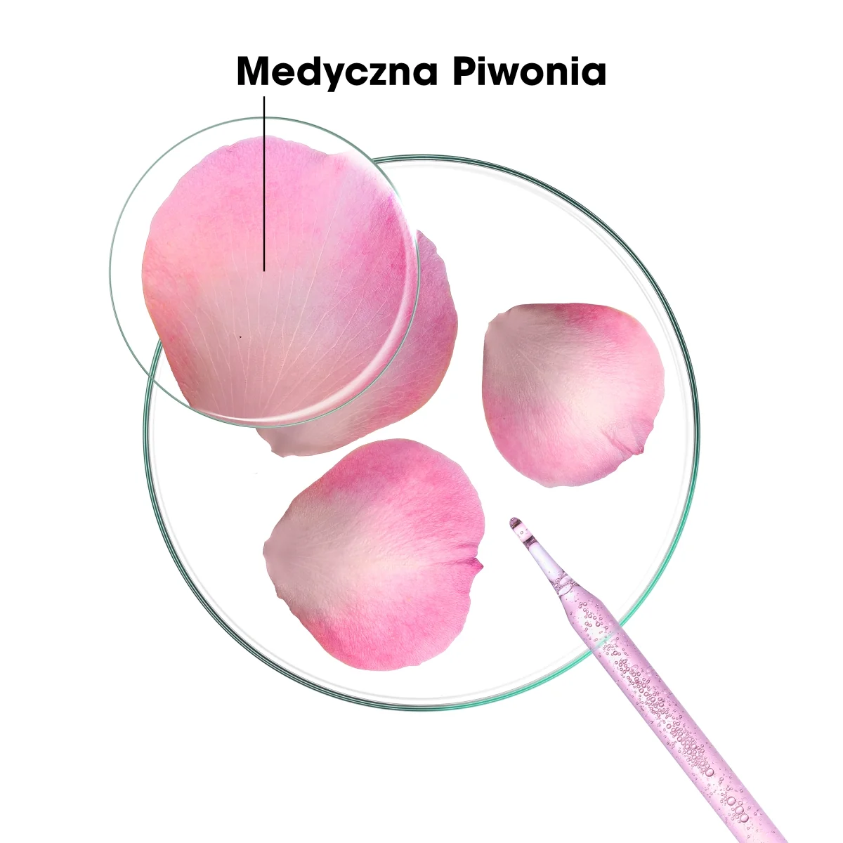 Klorane odżywka ochronna i przeciw podrażnieniom z piwonią, 150 ml