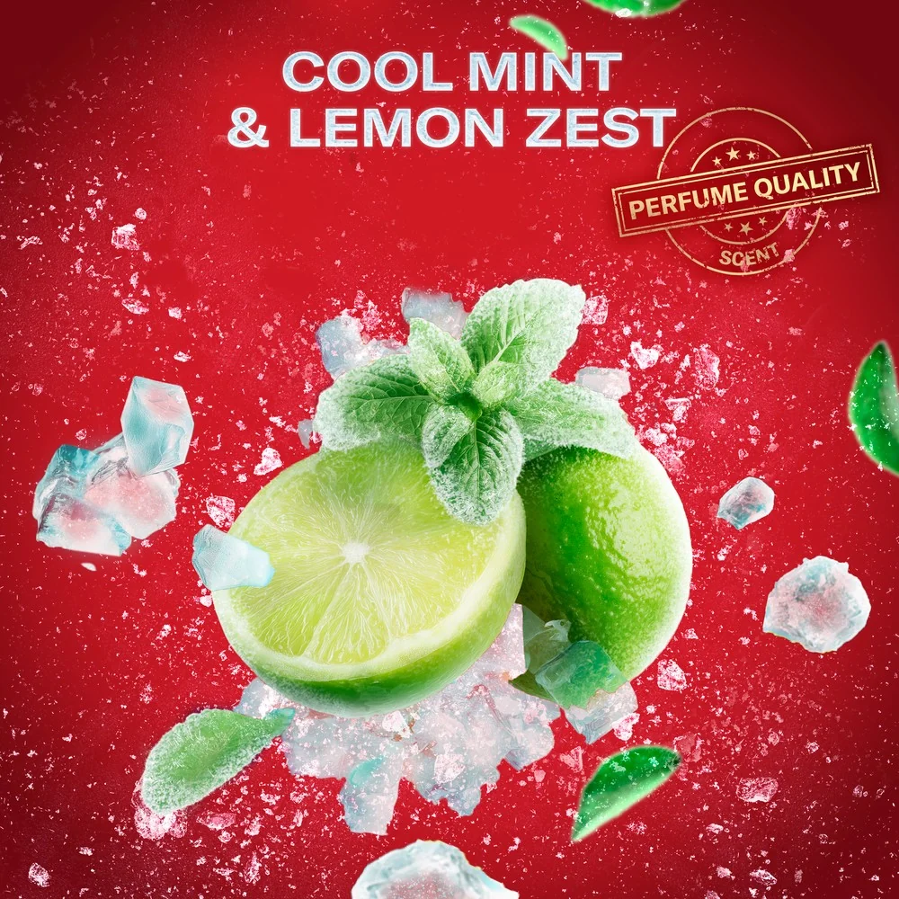 Old Spice Ski Zestaw antyperspirant w sztyfcie, 50 ml + żel pod prysznic, 250 ml