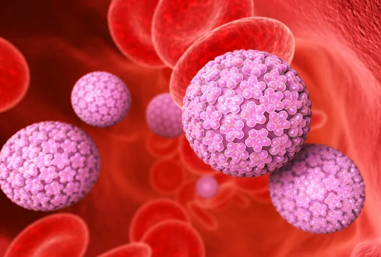 Kłykciny kończyste. Co warto wiedzieć o brodawkach wywołanych HPV?